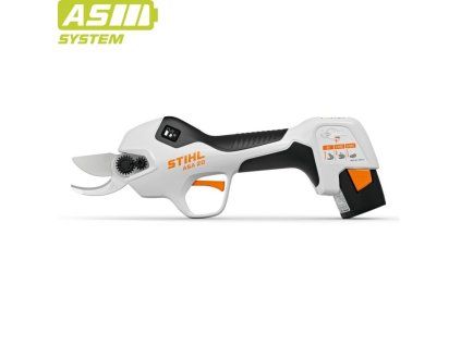 ASA%2020