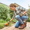 stihl hsa 26 aku nuzky na kroviny 3