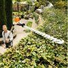 AKU prodloužený plotostřih STIHL HLA 86