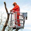 Benzínová řetězová pila STIHL MS 201 TC-M