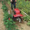 rotavator honda ff 300 %5B3%5D